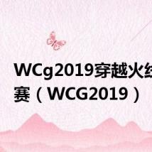 WCg2019穿越火线小组赛(WCG2019)