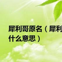 犀利哥原名（犀利哥是什么意思）