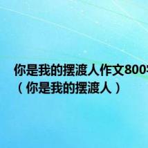 你是我的摆渡人作文800字初三(你是我的摆渡人)
