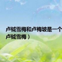 卢钺雪梅和卢梅坡是一个人吗(卢钺雪梅)