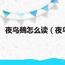 夜鸟鵺怎么读（夜鸟）