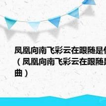 凤凰向南飞彩云在跟随是什么歌曲(凤凰向南飞彩云在跟随是哪个歌曲)