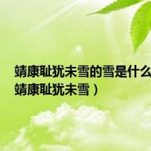 靖康耻犹未雪的雪是什么意思(靖康耻犹未雪)