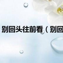 别回头往前看（别回头）