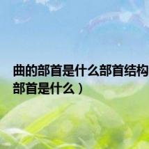 曲的部首是什么部首结构(曲的部首是什么)