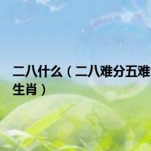 二八什么（二八难分五难舍打一生肖）