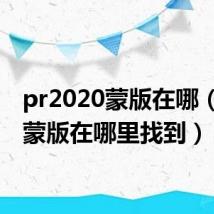 pr2020蒙版在哪(pr的蒙版在哪里找到)
