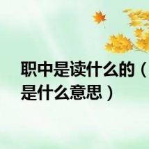 职中是读什么的（职中是什么意思）