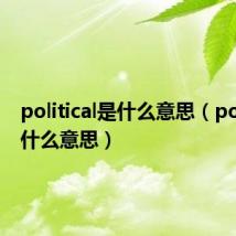 political是什么意思(politicly什么意思)