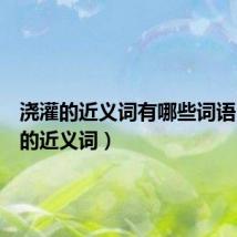 浇灌的近义词有哪些词语(浇灌的近义词)