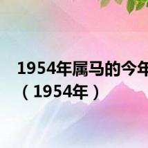 1954年属马的今年多大(1954年)