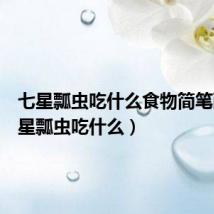 七星瓢虫吃什么食物简笔画(七星瓢虫吃什么)