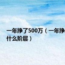 一年挣了500万(一年挣500万什么阶层)