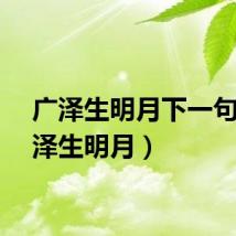 广泽生明月下一句（广泽生明月）