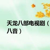 天龙八部电视剧（天龙八音）