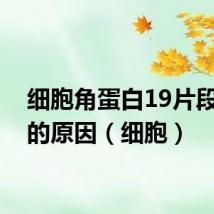 细胞角蛋白19片段偏高的原因(细胞)