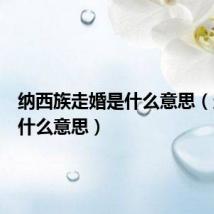 纳西族走婚是什么意思(走婚是什么意思)
