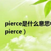pierce是什么意思中文(pierce)