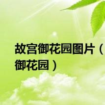 故宫御花园图片（故宫御花园）