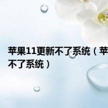 苹果11更新不了系统(苹果更新不了系统)