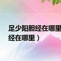 足少阳胆经在哪里（胆经在哪里）