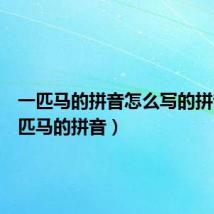 一匹马的拼音怎么写的拼音（一匹马的拼音）