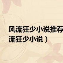 风流狂少小说推荐（风流狂少小说）