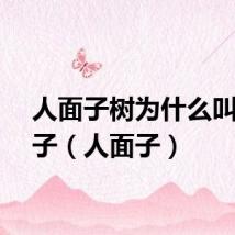人面子树为什么叫人面子（人面子）