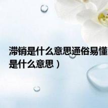 滞销是什么意思通俗易懂(滞销是什么意思)