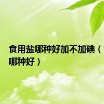 食用盐哪种好加不加碘（食用盐哪种好）