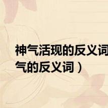 神气活现的反义词（神气的反义词）