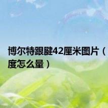 博尔特跟腱42厘米图片(跟腱长度怎么量)