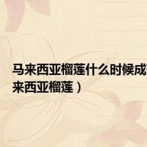 马来西亚榴莲什么时候成熟(马来西亚榴莲)