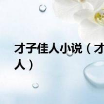 才子佳人小说（才子佳人）