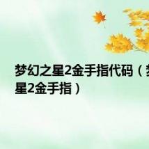 梦幻之星2金手指代码(梦幻之星2金手指)