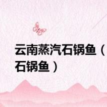 云南蒸汽石锅鱼（蒸汽石锅鱼）