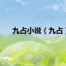 九占小说（九占）