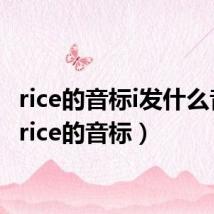 rice的音标i发什么音标(rice的音标)