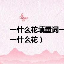 一什么花填量词一个（一什么花）