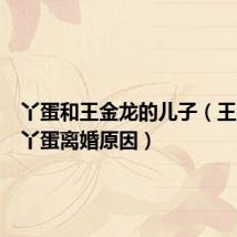 丫蛋和王金龙的儿子(王金龙和丫蛋离婚原因)