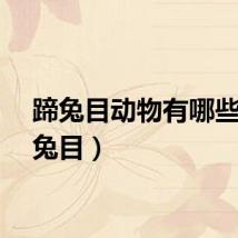 蹄兔目动物有哪些（蹄兔目）