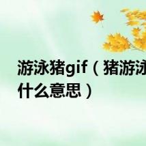 游泳猪gif(猪游泳动图什么意思)