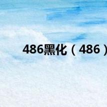 486黑化（486）