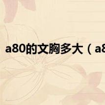 a80的文胸多大(a80)