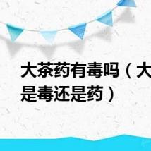 大茶药有毒吗（大茶药是毒还是药）