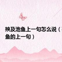 殃及池鱼上一句怎么说(殃及池鱼的上一句)
