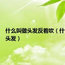 什么叫做头发反着吹（什么叫做头发）