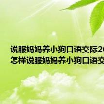 说服妈妈养小狗口语交际200字(怎样说服妈妈养小狗口语交际)