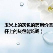 玉米上的灰包的药用价值(玉米杆上的灰包能吃吗)