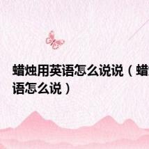 蜡烛用英语怎么说说(蜡烛用英语怎么说)